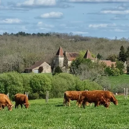 Demeure Familiale De Charme En Dordogne 4*